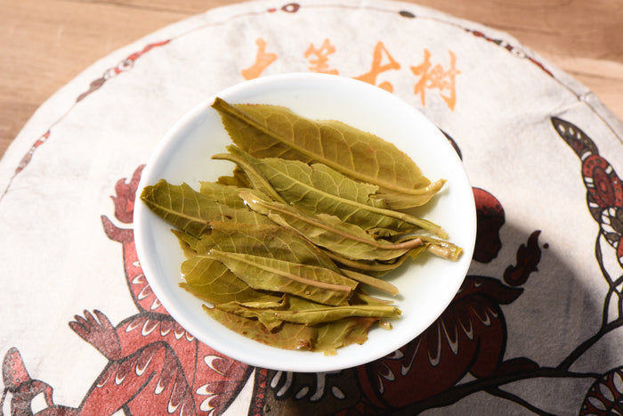 2016 Yunnan Sourcing "Autumn Da Qing Gu Shu" Raw Pu-erh Tea Cake | Yunnan Sourcing Tea Shop