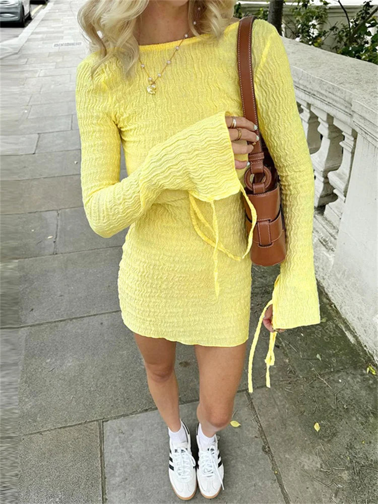 Ruffled Long Sleeve Mini Dress