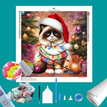 Birman Cat Diamond Painting