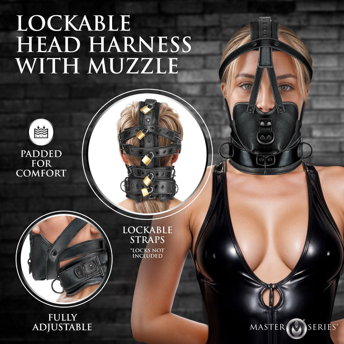 Lockable Head Harness with Muzzle