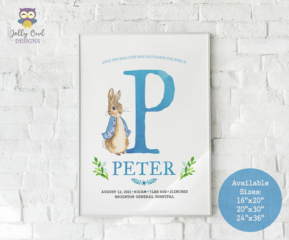 Peter Rabbit Themed Printable Baby Birth Stats Display - Nursery Room Decor