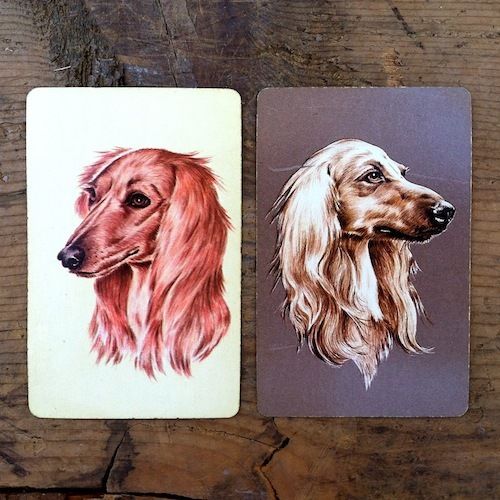 SALUKI DOGS Playing Cards 1940s